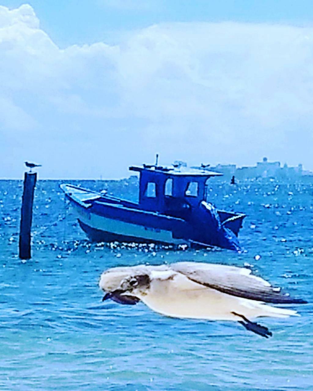 Tu Casa En El Caribe Apartment Cancun Bagian luar foto